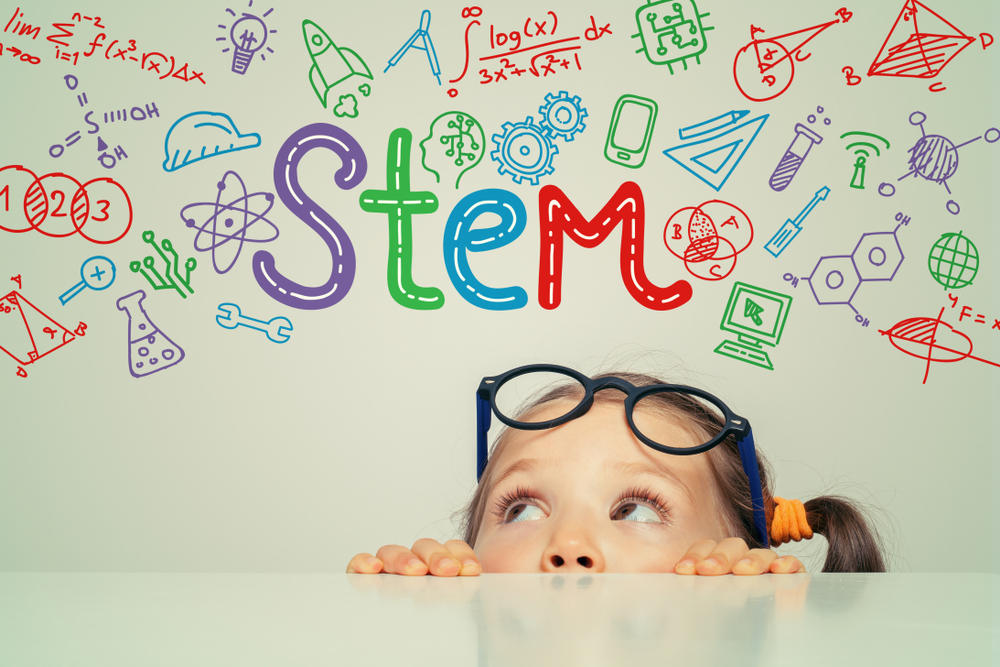 stem