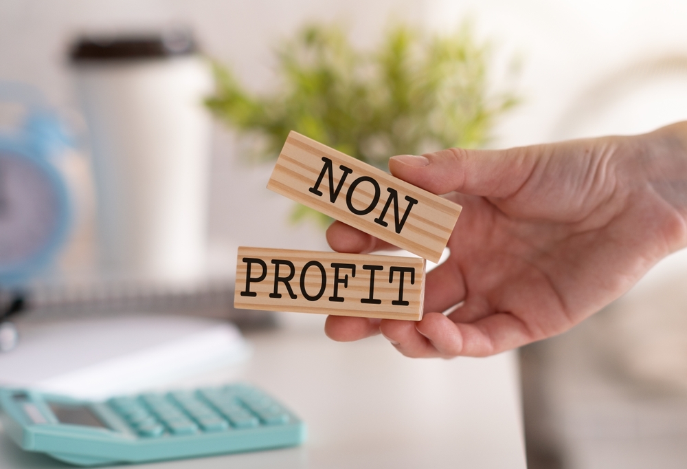 terzo settore non profit